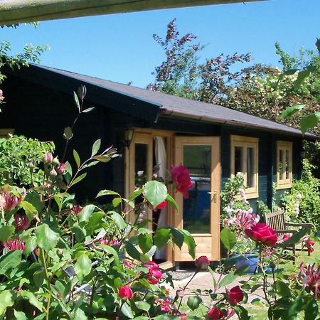 Pet Friendly - Hikers Paradise - South Facing Веллс Екстер'єр фото